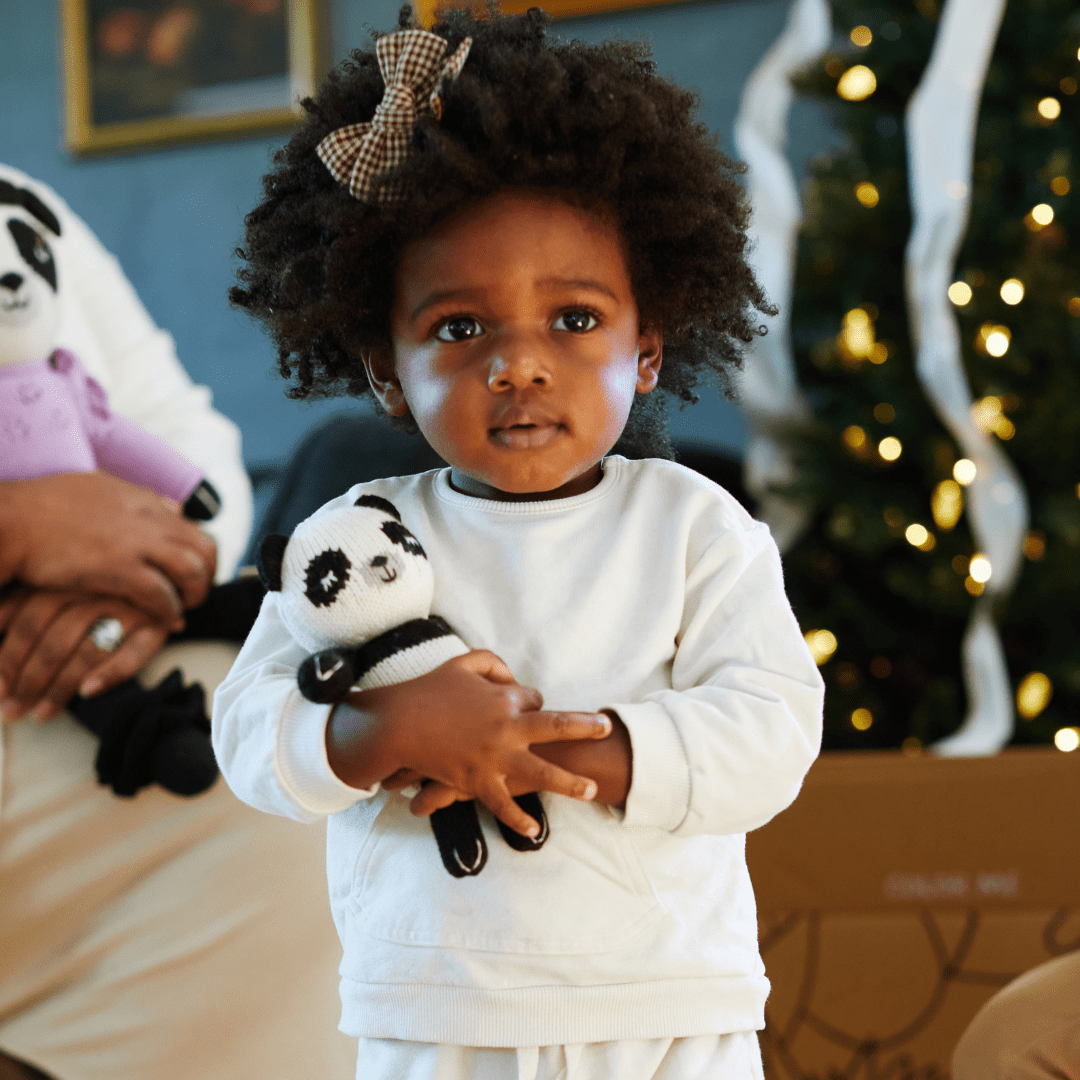 Baby Panda - Tenth & Pine -