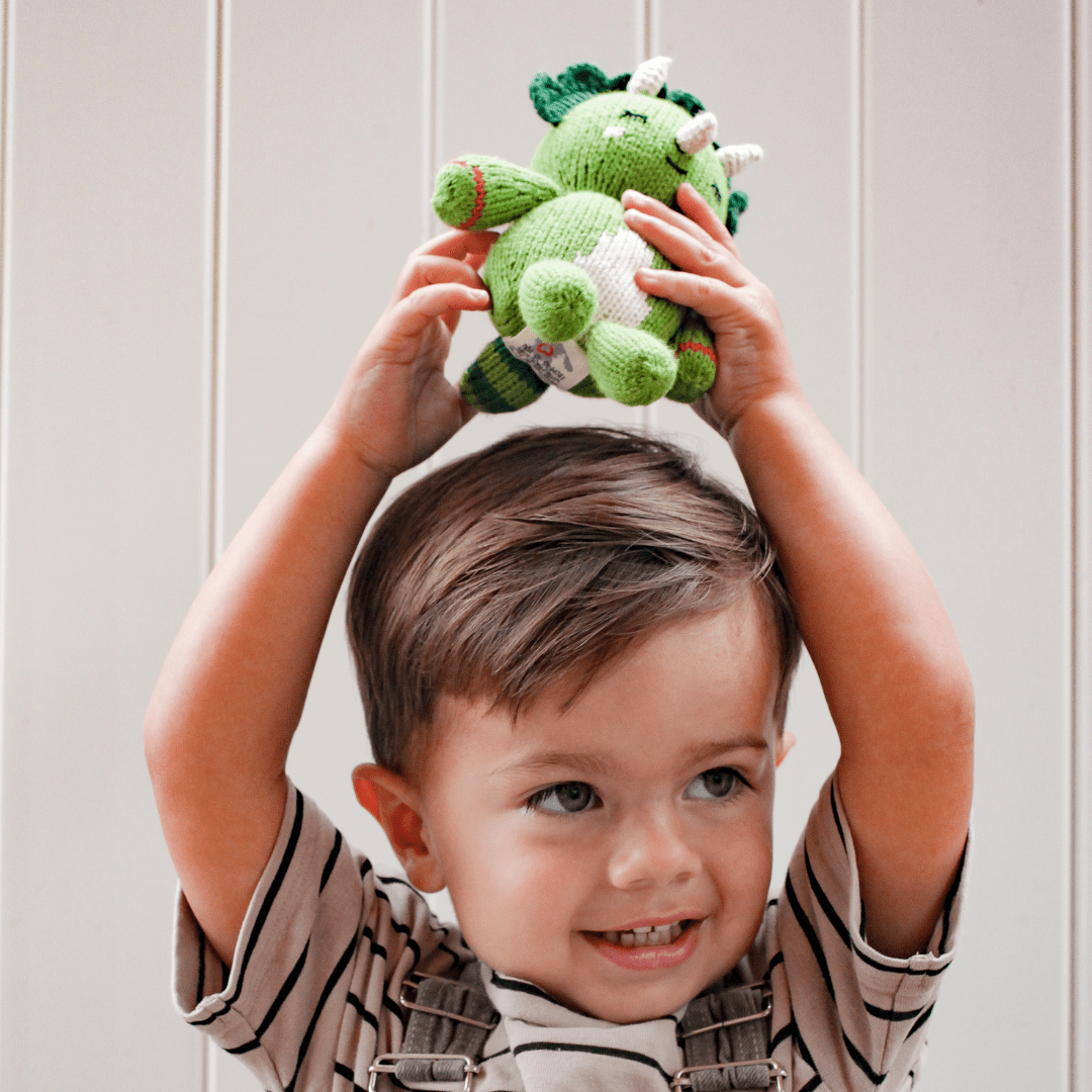 Baby Triceratops - Tenth & Pine -