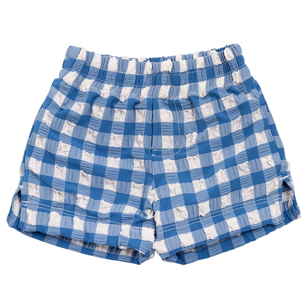 Blue Gingham Mini Swim Trunk - Tenth & Pine - Mini Swimwear - 0 - 6 Months - Blue Gingham - Montce