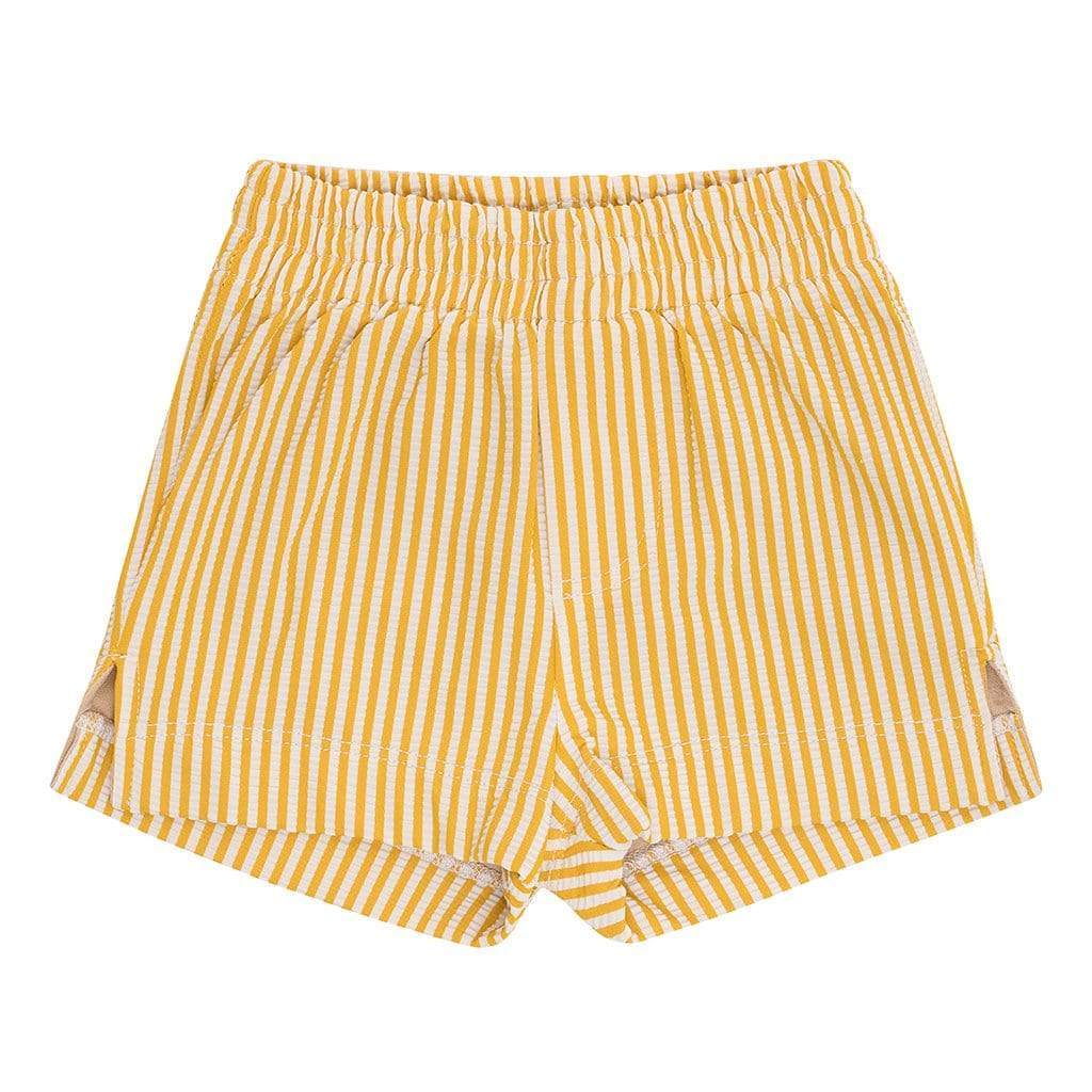 Canary Stripe Mini Swim Trunk - Tenth & Pine - Mini Swimwear - 0 - 6 Months - Canary Stripe - Montce