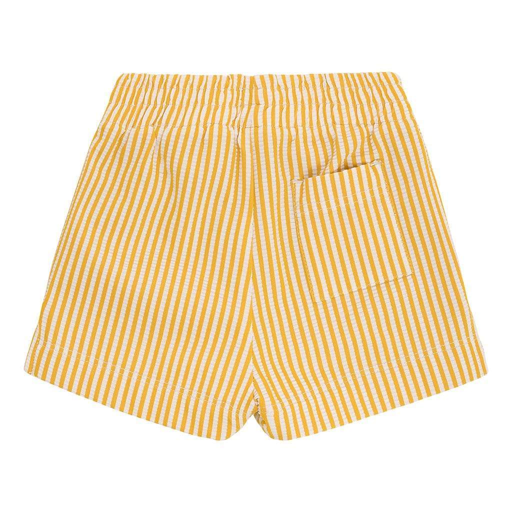 Canary Stripe Mini Swim Trunk - Tenth & Pine - Mini Swimwear - 0 - 6 Months - Canary Stripe - Montce