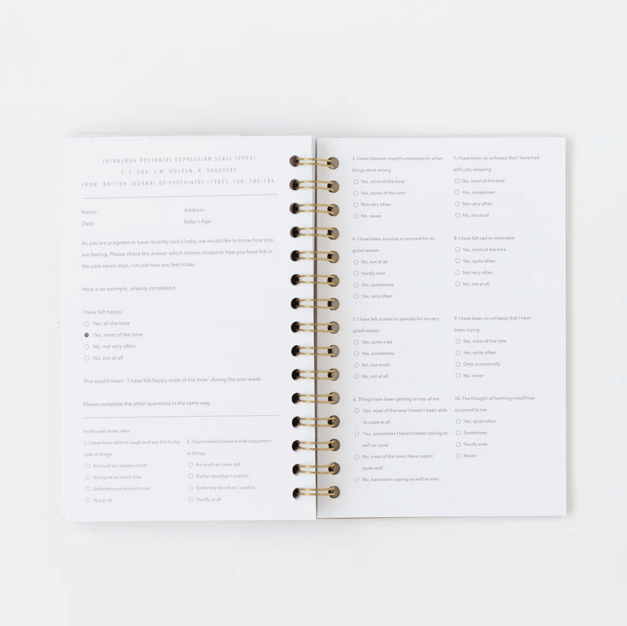 Coil - Bound Postpartum Journal (Cashew) - Tenth & Pine -