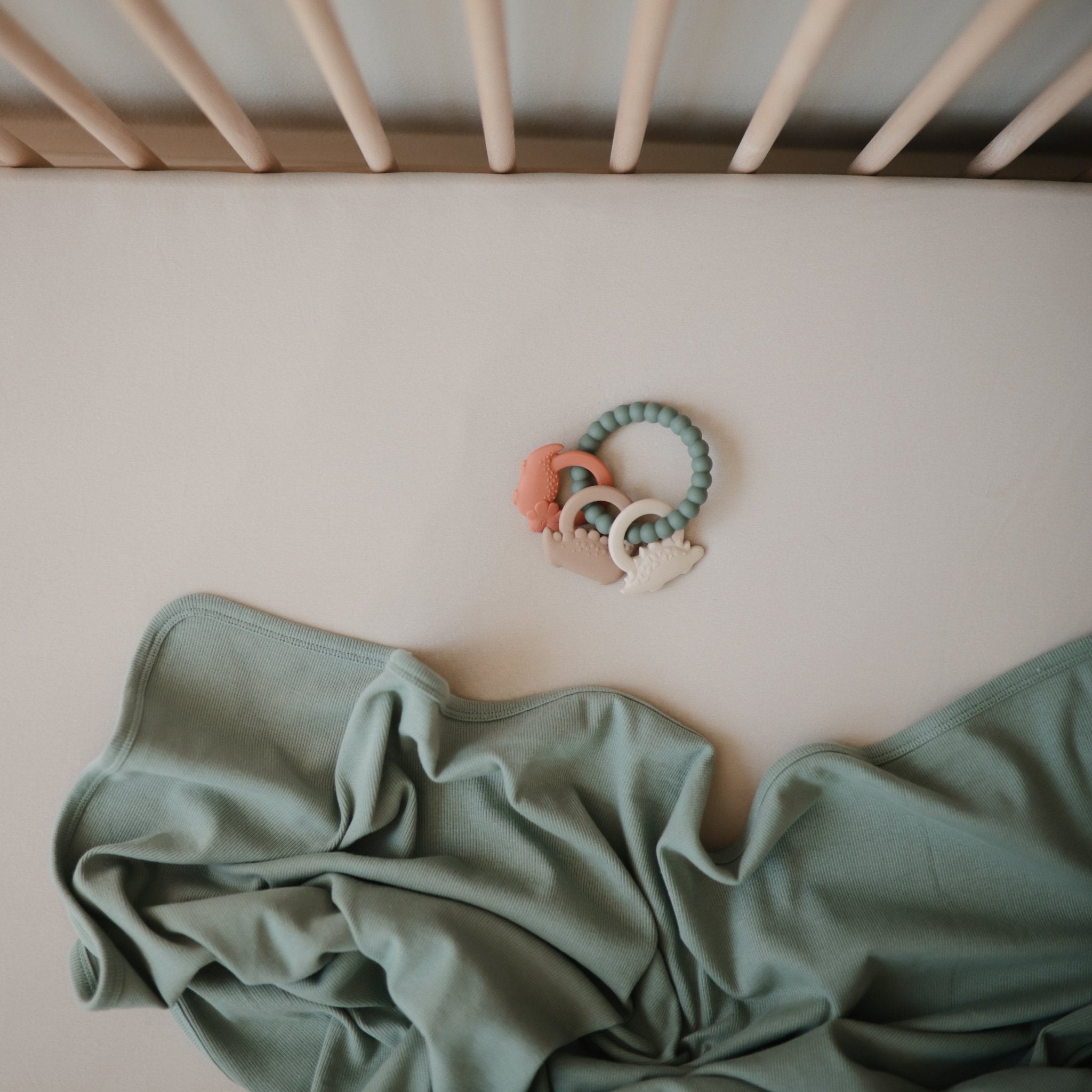 Dino Teething Ring - Tenth & Pine - teether -