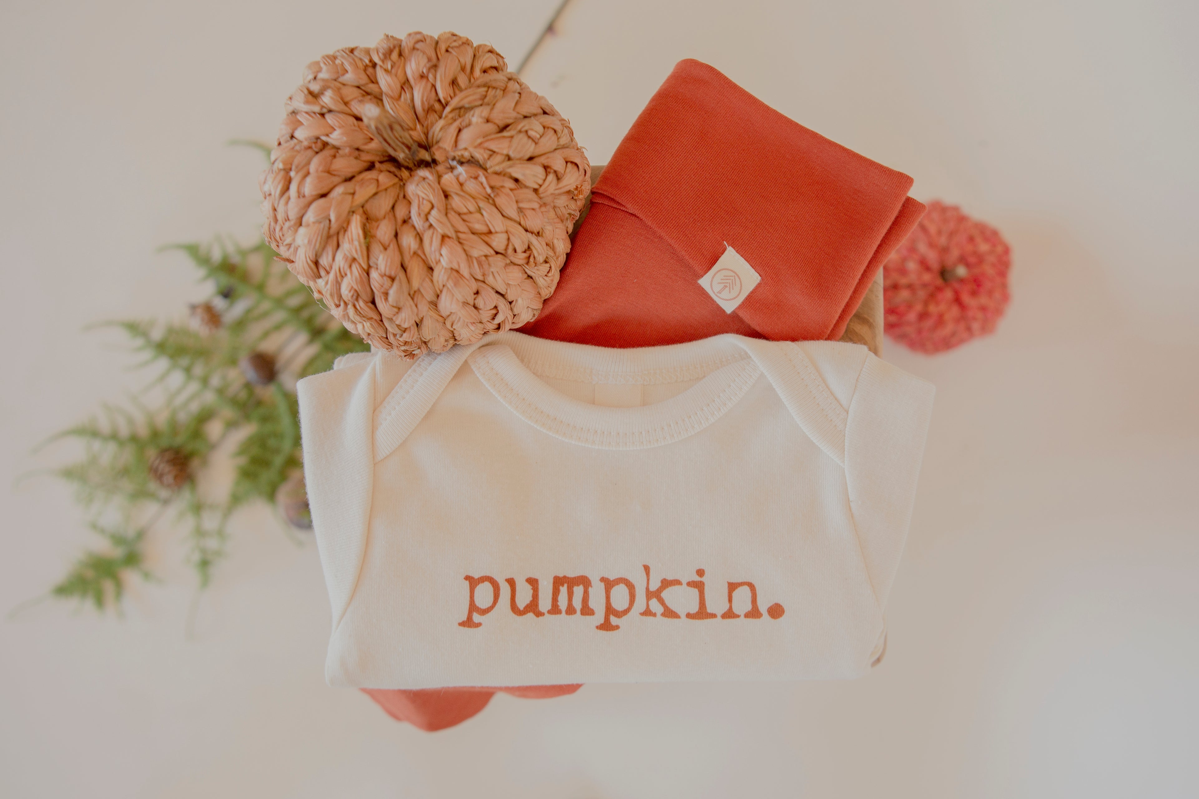 Pumpkin Organic Bodysuit Long Sleeve