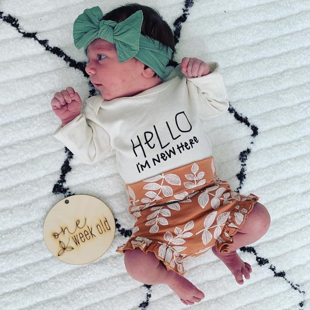 Baby Hello Im New Here Long - Sleeve Organic Cotton Bodysuit - Tenth & Pine - Long Sleeve Onesie - 0 - 3M
