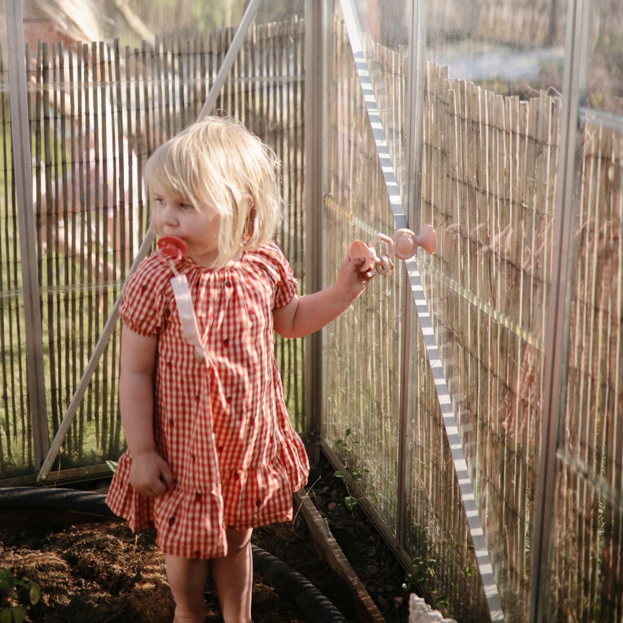 HexaPop Suction Toy - Tenth & Pine - toys - Shifting Sand