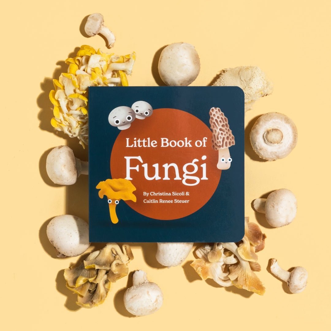 Little Book of Fungi - Tenth & Pine - Board Book -