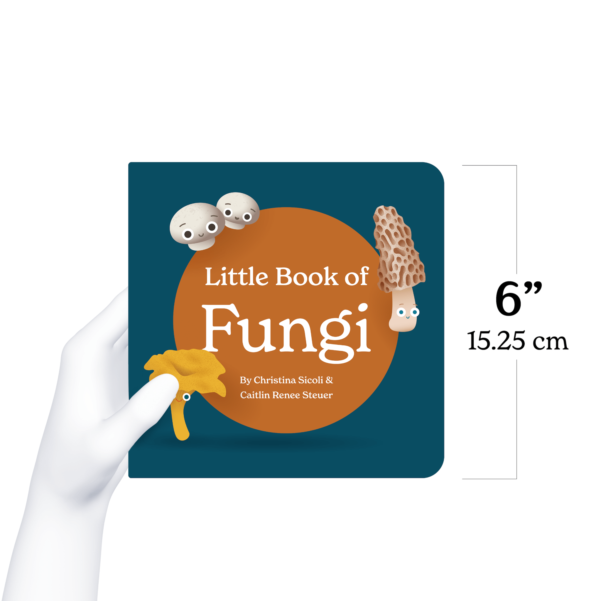 Little Book of Fungi - Tenth & Pine - Board Book -
