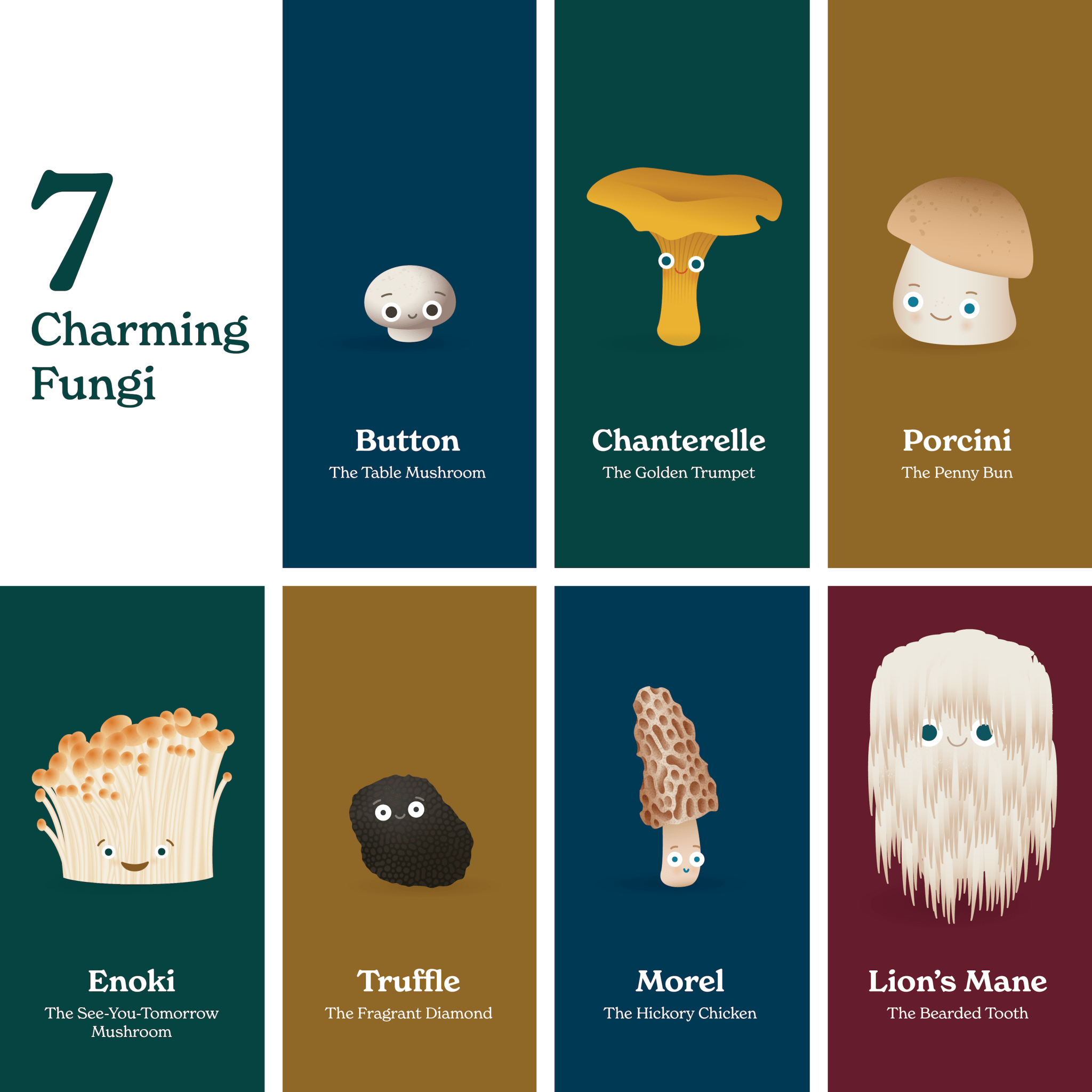 Little Book of Fungi - Tenth & Pine - Board Book -