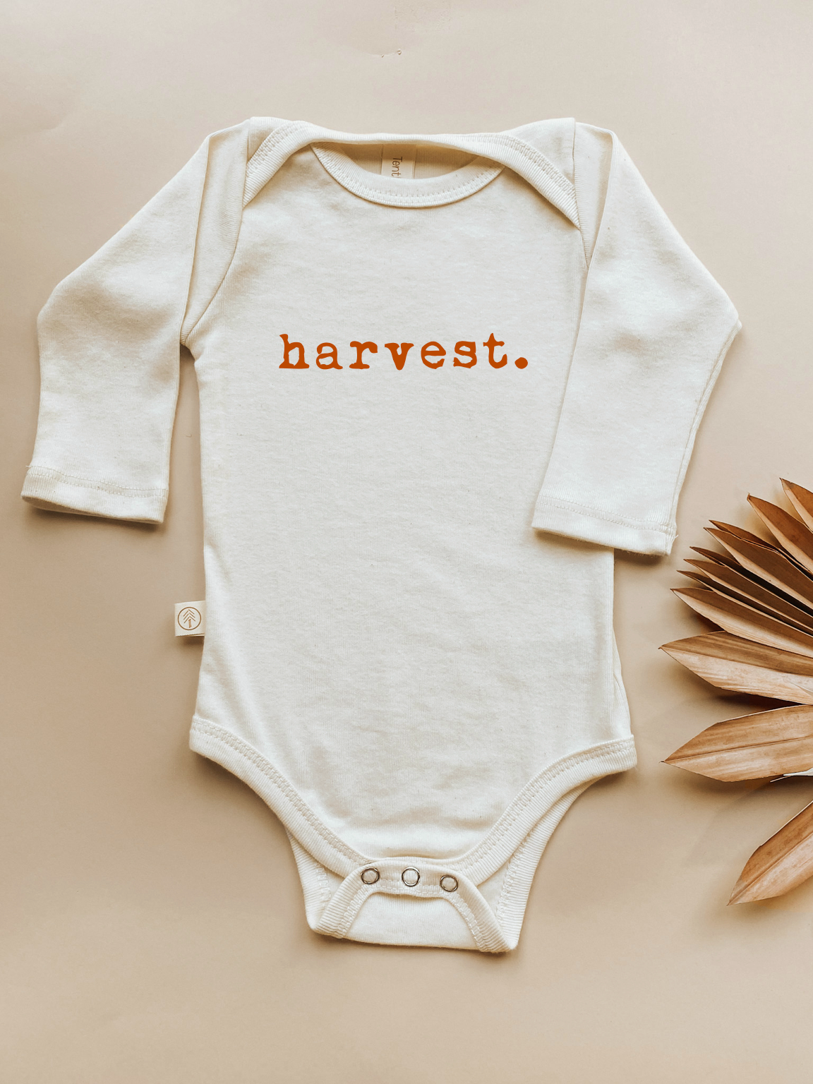 Harvest Rust Organic Cotton Baby Bodysuit Long Sleeve