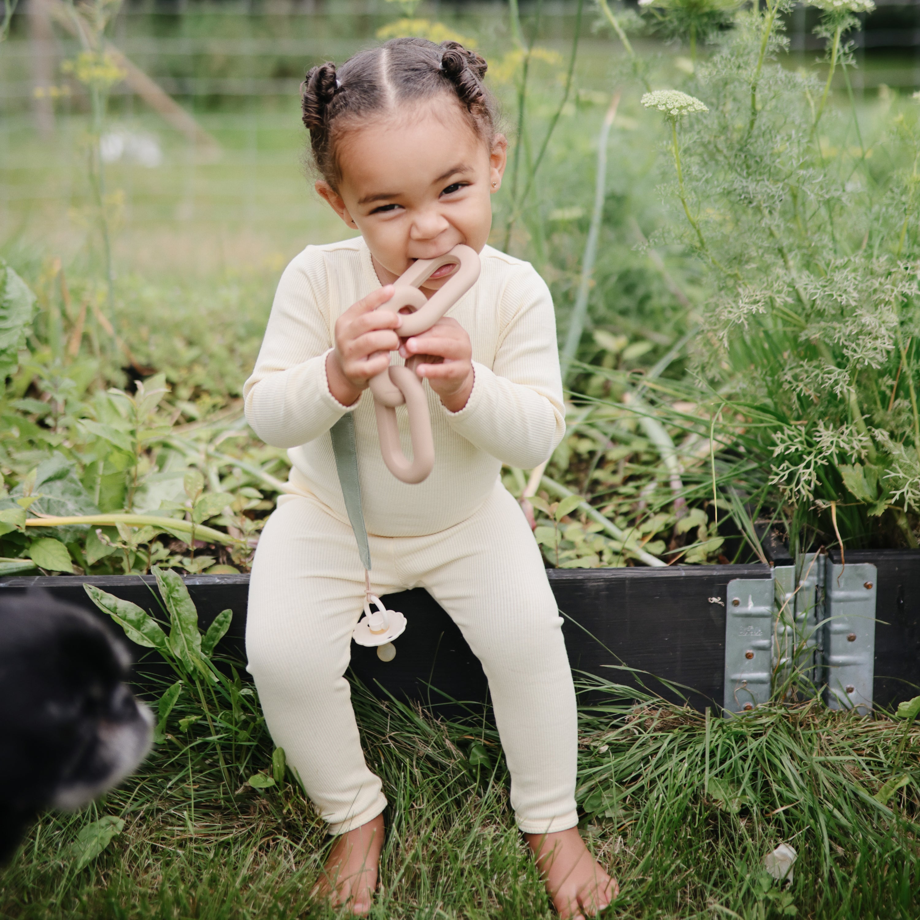 FRIGG Daisy Natural Rubber Pacifier 2 - Pack - Tenth & Pine - FRIGG PACIFIERS - 6 - 18 months - Pink Cream/Poppy