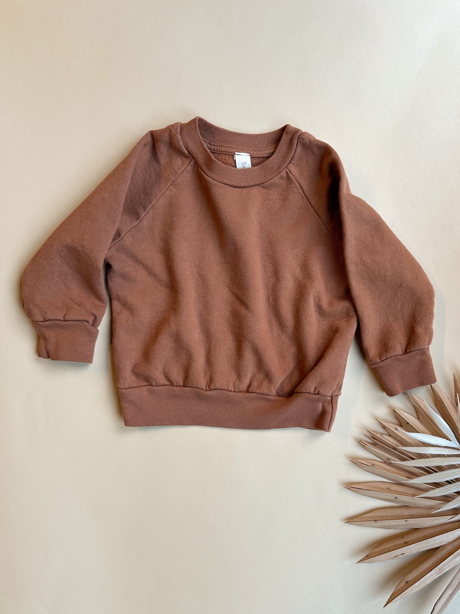 Baby Kids Organic Cotton Fleece Sweatshirt, Tenth and Pine®