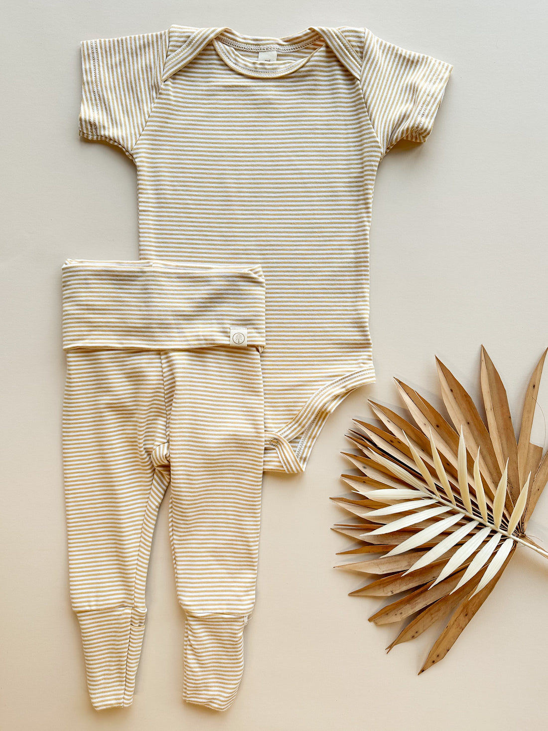 Short Sleeve Bamboo Organic Cotton Bodysuit | Golden Stripe