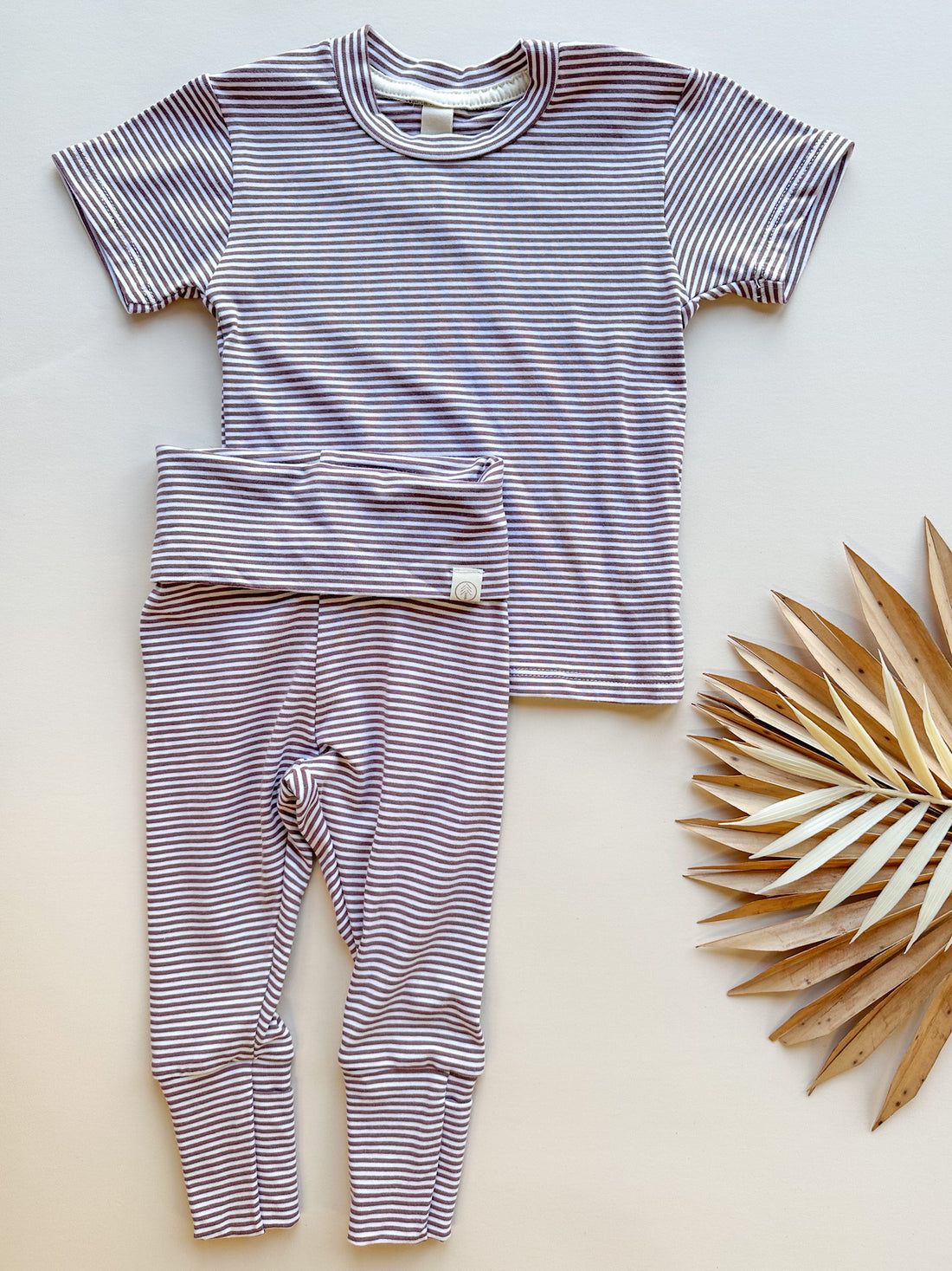 Leggings + T-shirt Bamboo/Organic Cotton Outfit Set | Plum Stripe
