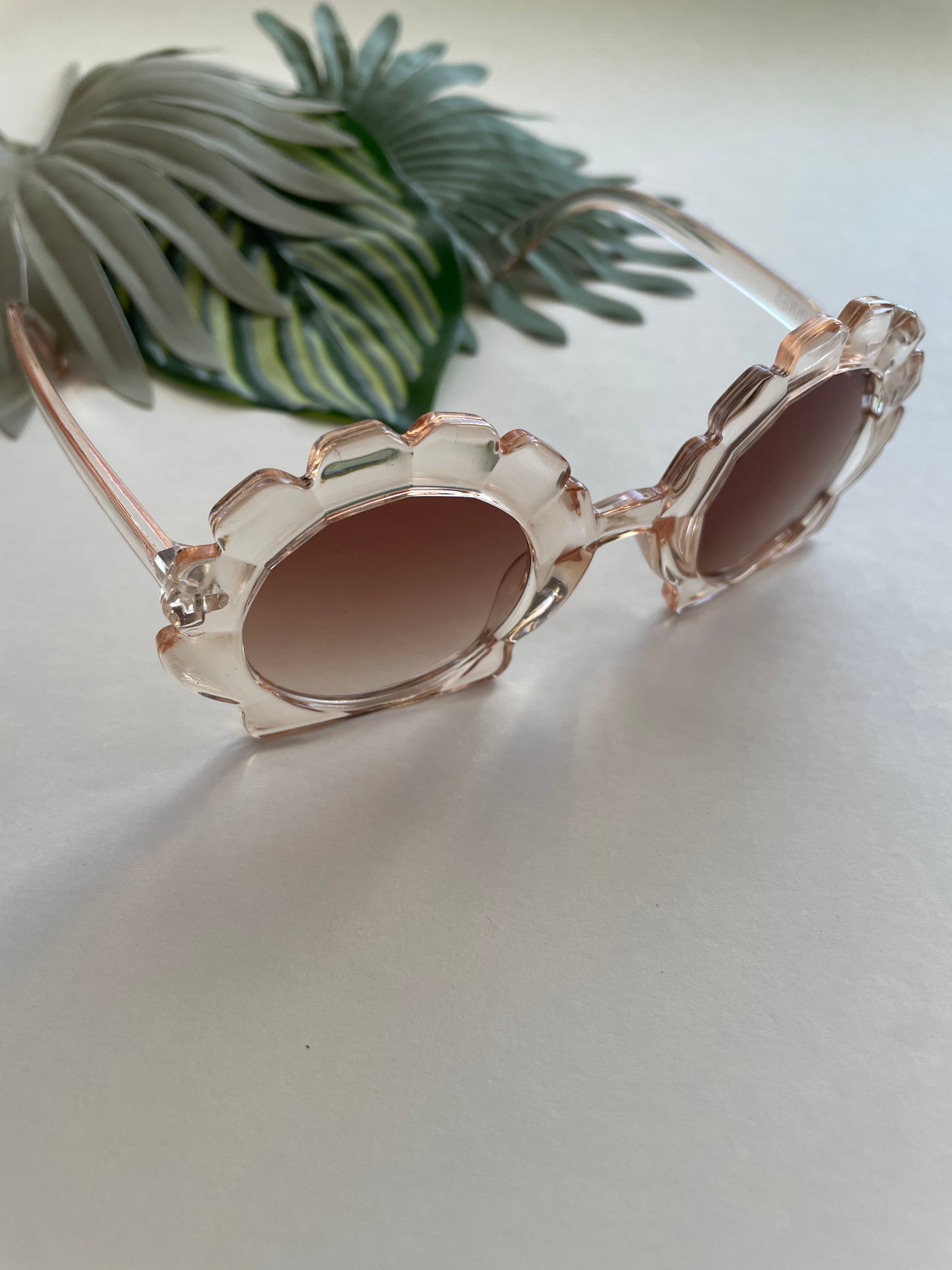 Round Seashell Sunglasses - Translucent Sand