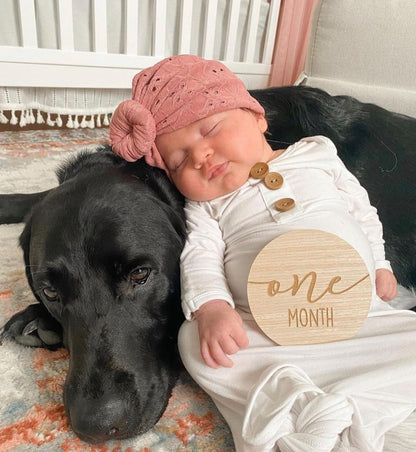 Ava | Rogue Pink | Eyelet Headwrap