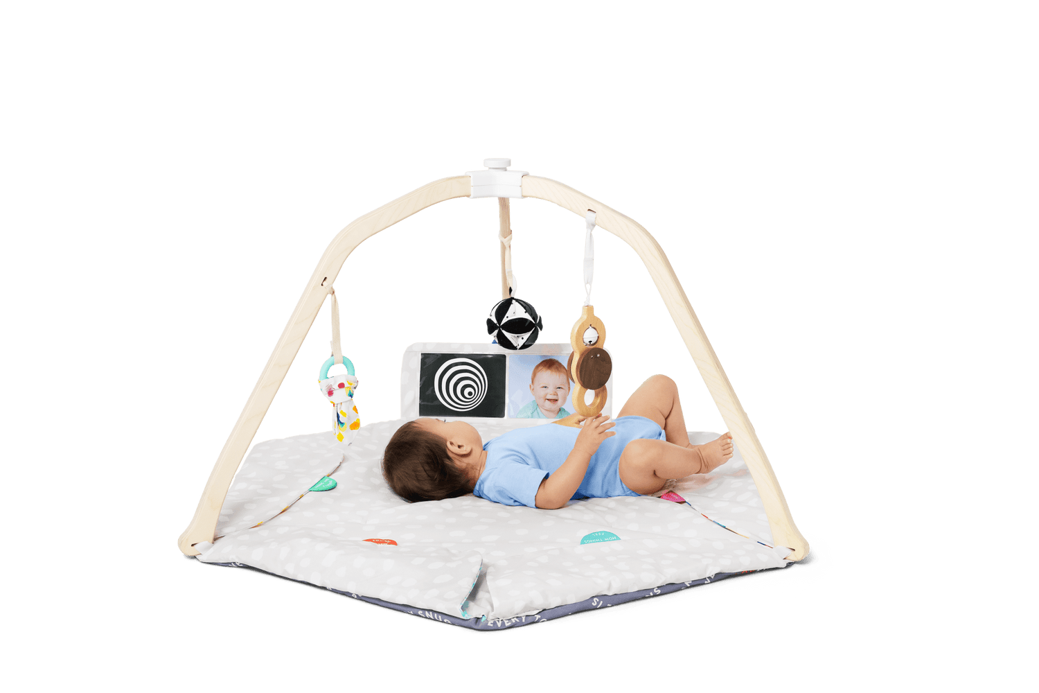 The Play Gym - Tenth &amp; Pine - Playthings - 