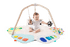 The Play Gym - Tenth & Pine - Playthings - 
