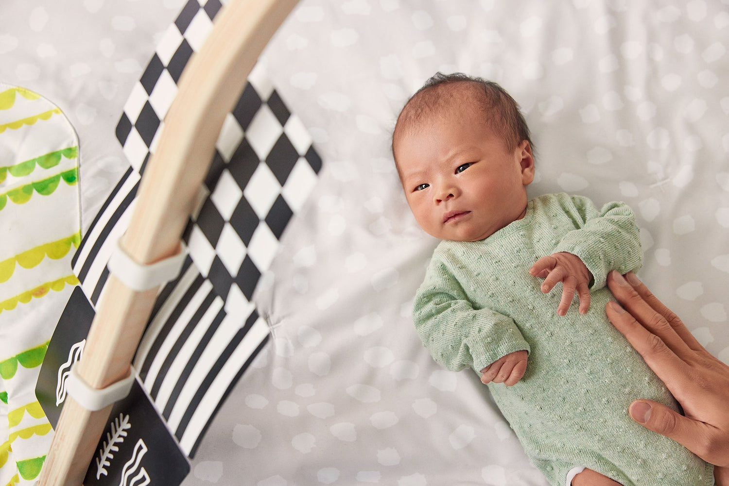 The Play Gym - Tenth &amp; Pine - Playthings - 