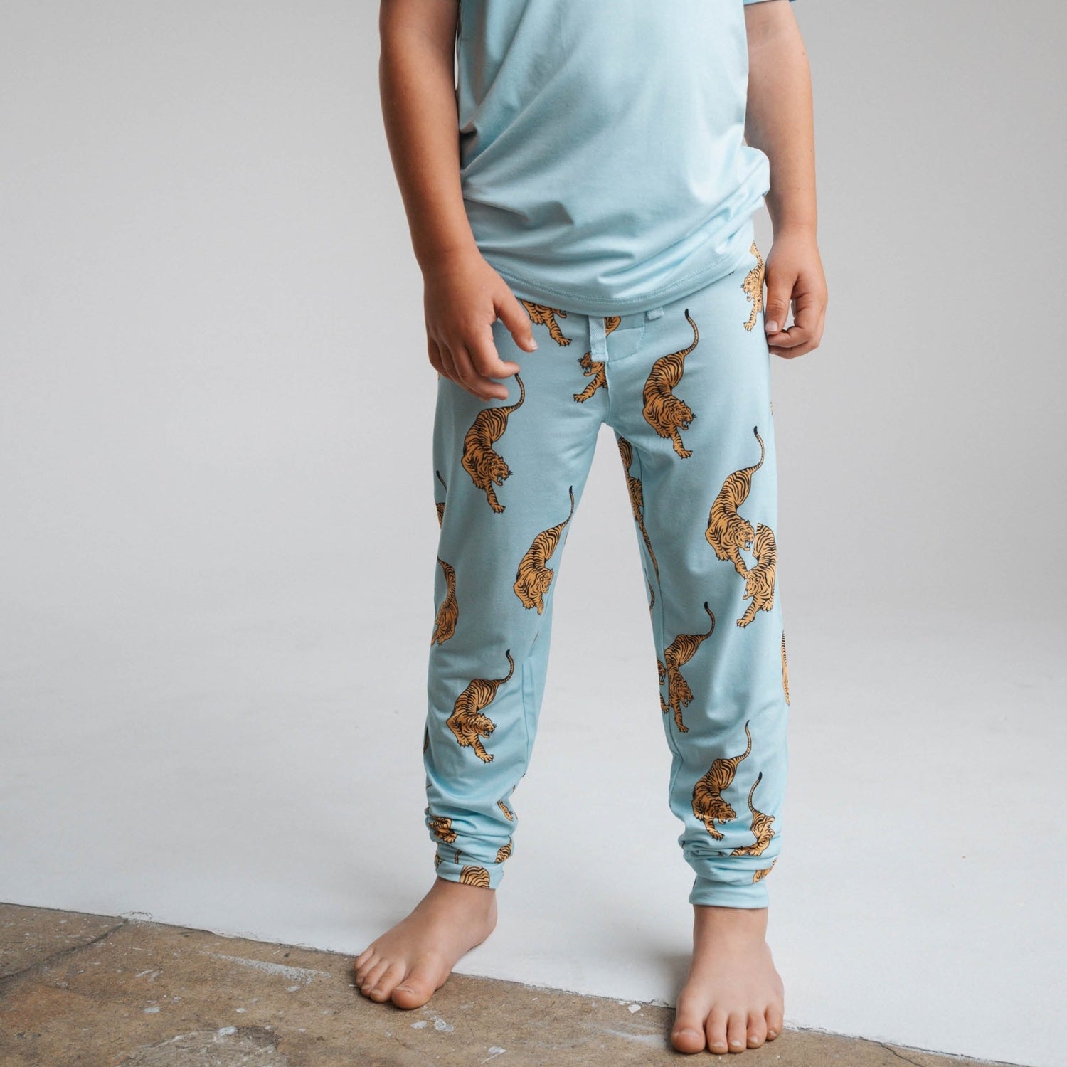 Tigers | Boy&
