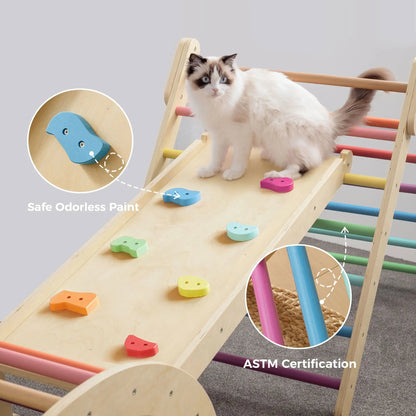 Tiny Land® 7 - in - 1 Rainbow Climbing Set - Tenth &amp; Pine - climbing set - 